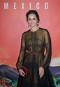 Fernanda Urrejola – 'Narcos Mexico' TV Show Premiere in Los Angeles ...