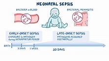 Neonatal Sepsis Nursing Care Plans Rnpedia Child Nurs - vrogue.co