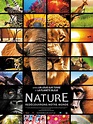 Nature - film 2014 - AlloCiné