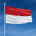 Indonesia flag flying Photo | Premium Download