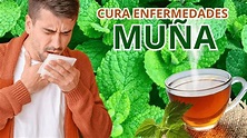 BENEFICIO de la MUÑA que CURA ENFERMEDADES - PROPIEDADES para la SALUD ...