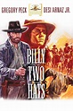 Billy Two Hats - VPRO Cinema - VPRO Gids