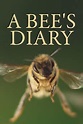‎A Bee's Diary (2020) directed by Dennis Wells • Reviews, film + cast ...
