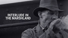 Watch Interlude in the Marshland (1965) Full Movie Online - Plex