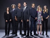 The 'Criminal Minds' Cast: Then And Now