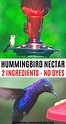DIY This Easy Hummingbird Nectar Recipe - Saving Dollars & Sense ...