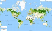 Mapa interactivo de los mejores bosques del mundo por país | Eco Turismo