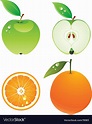 Apple and orange Royalty Free Vector Image - VectorStock