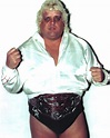 Galeria de Dusty Rhodes | Wiki Pro Wrestling | Fandom
