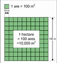 How Big Is A Hectare? A Better Way to Visualize The Size