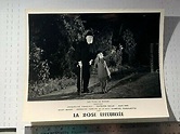 La rose effeuillée (1937) Movie Photo Colette Borelli | eBay