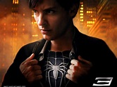 Tobey Maguire As Peter Parker Wallpaper and Background Image ...