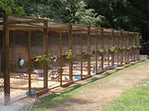 Love the idea of the flowers on the pen | Chicken pen, Chicken coop run ...