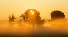 Spätsommer wird zu Altweibersommer: Darum schaltet der Sommer jetzt ...