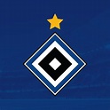 Hamburg SV Redesign