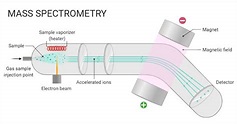 Mass Spectrometry (MS)- Principle, Working, Parts, Steps, Uses