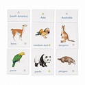 Animals of Seven Continents Classification Cards with Labels ...