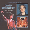 David Johansen: David Johansen / Live It Up (CD) – jpc