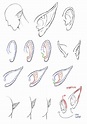 How To Draw Anime Elf Ears - Elf Ear | Experisets