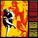Guns n Roses: Use your Illusion 1 Vinyl LP