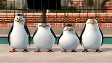 The Penguins of Madagascar: New to the Zoo (2010) — The Movie Database ...