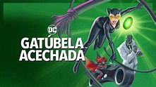 Gatúbela Acechada, la nueva película animada de DC - Reporte Indigo