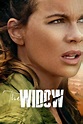 The Widow (Serie, 2019) | VODSPY