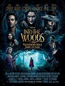 Affiche du film Into the Woods, Promenons-nous dans les bois - Affiche ...