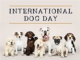 What is Happy National Dog Day? Is Dog Day national or international ...