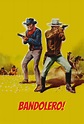 ¡Bandolero! (1968) Película - PLAY Cine