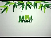 Animal Planet Logo Reveal - YouTube