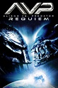 Aliens vs Predator: Requiem (2007) - Posters — The Movie Database (TMDb)