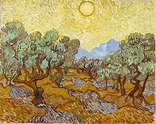 Olivos con cielo amarillo y sol - cuadros de Vincent Van Gogh