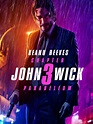 Review John Wick Chapter 3 Parabellum Ups The Gore And Violence - Gambaran