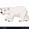 Cartoon polar bear isolated on white background Vector Image