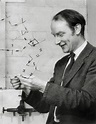 Francis Crick in 1953 - Stock Image - H403/0105 - Science Photo Library