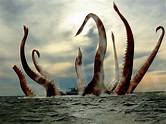 The real-life origins of the legendary kraken - Nexus Newsfeed
