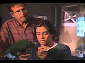 The Goodbye Bird Trailer 1993 - YouTube