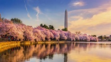 Potomac Washington, DC - Bestill billetter og turer | GetYourGuide