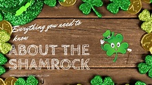 Everything You Didn't Know About The Shamrock And It's Irish History