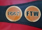 TAZ FTW Heavyweight Championship Wrestling BELT Leather strap | Etsy