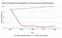 17 Keystone Species Examples [Names, Photos and Importance]