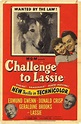 El desafío de Lassie (1949) - FilmAffinity