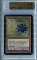 Black Lotus (Alpha) - BGS GEM MINT 9.5 MTG *CCGHouse* Magic | eBay