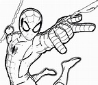 Dibujos de Spiderman para colorear. Imprimir superhéroe en línea