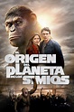 El origen del planeta de los simios (⚜️ Trailer) | CUEVANA