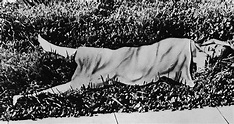 The Black Dahlia: Inside The Gruesome Murder Of Elizabeth Short