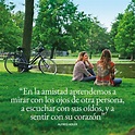 65 frases sobre la amistad verdadera