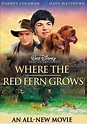 Where The Red Fern Grows (2003) – Filmer – Film . nu