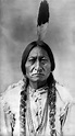 File:Sitting Bull.jpg - Wikipedia, the free encyclopedia